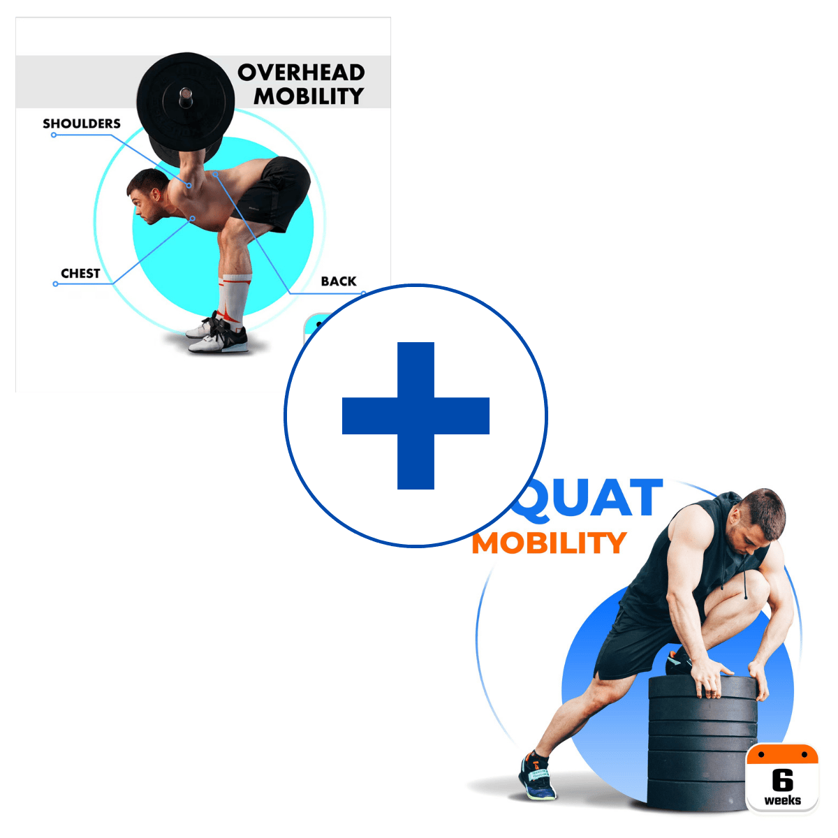 Covering of overhead and squat mobility olympic weightlifting program by Oleksiy Torokhtiy
